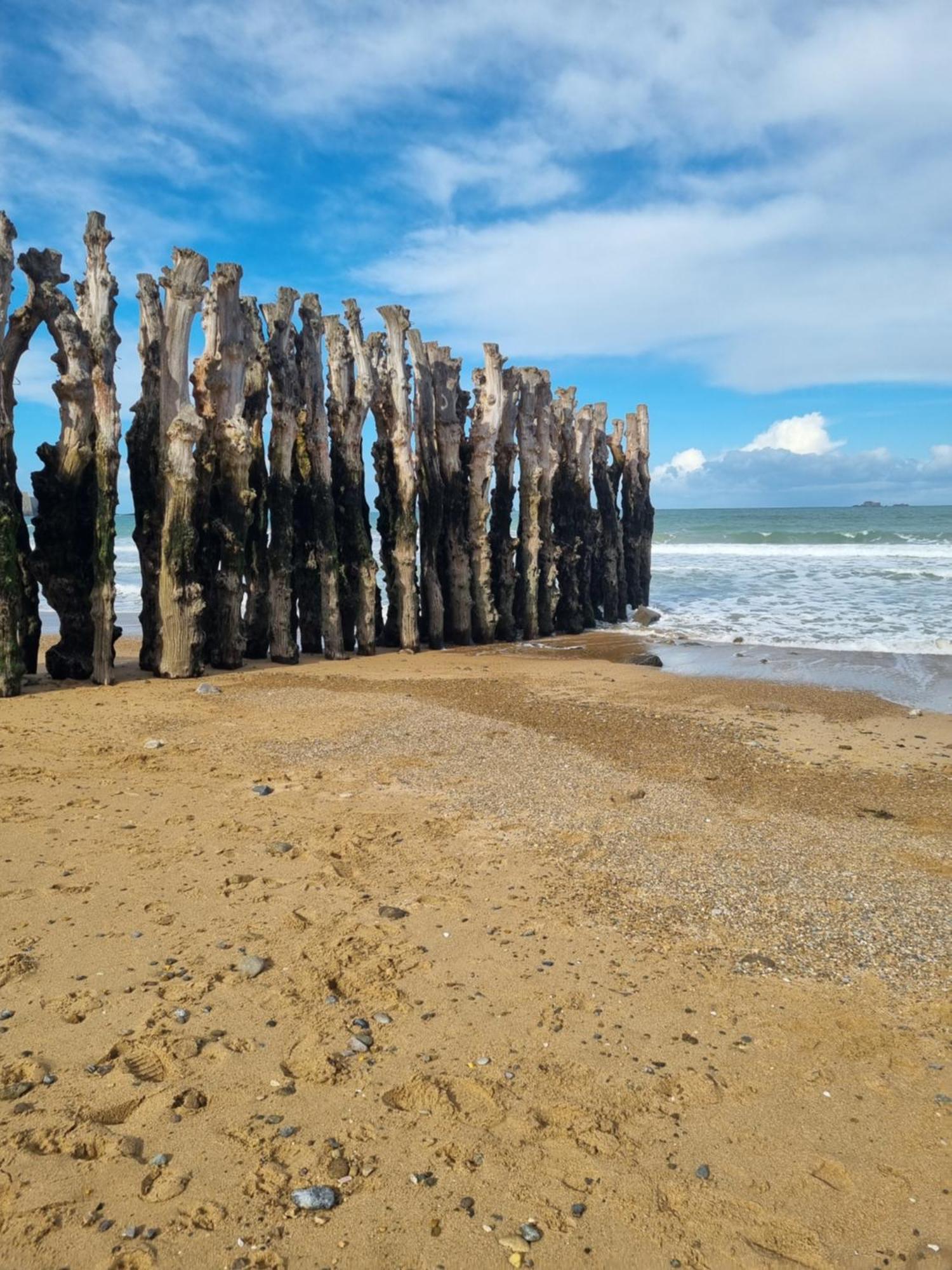 Le Mistral Du Centre Ville ,Chaleureux A 2 Min De La Plage Dinard Dış mekan fotoğraf